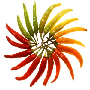 Some eaters enjoy the pain of consuming hot chili peppers, while others do not.